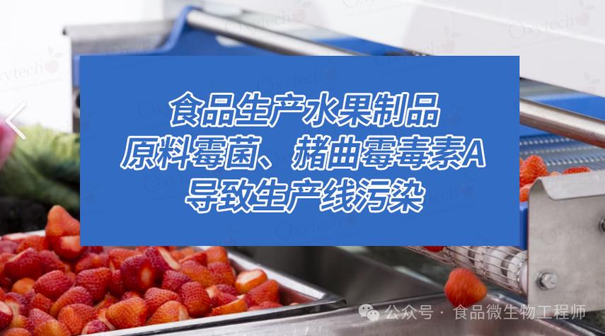 食品生产中水果制品与干果霉菌、芽孢超标问题及系统控制